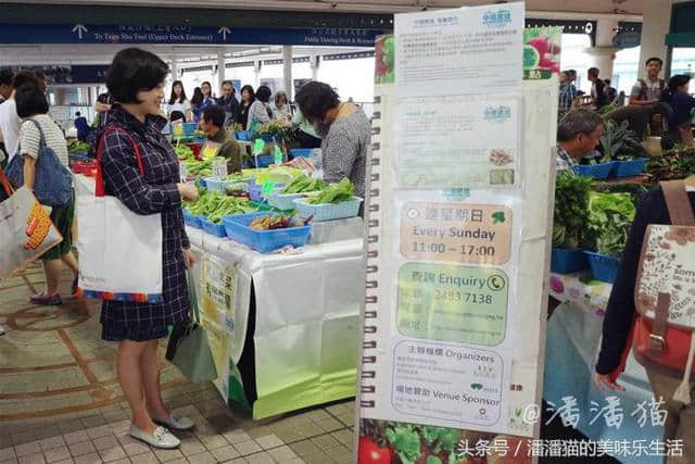 领略香港别样风情的新线路