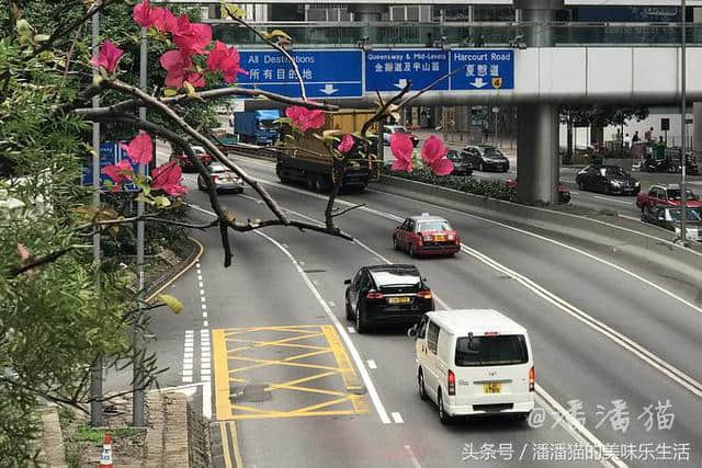 领略香港别样风情的新线路