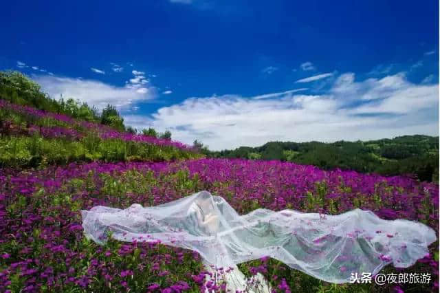 贵州毕节：旅游蓬勃发展的历史机遇已经到来！