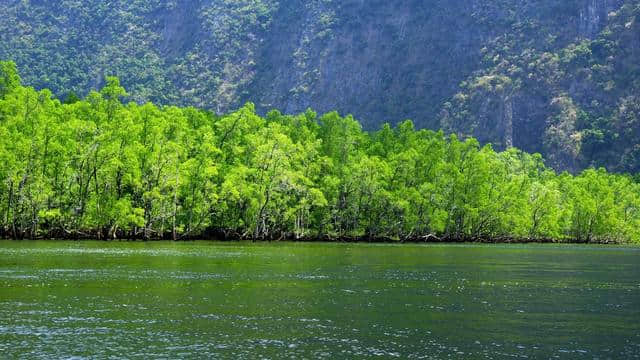 适合春节旅行的地方，在一个陌生的城市找到温暖！