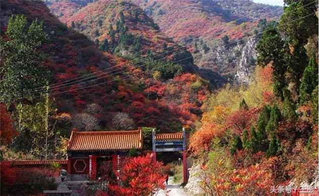 仙台山景区门票团购多少钱？