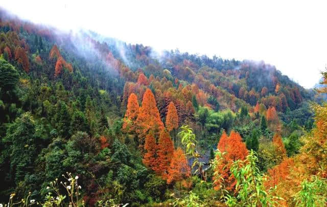 新都桥黄了！成都周边还有10个地方红了，最快1.5h飚拢！