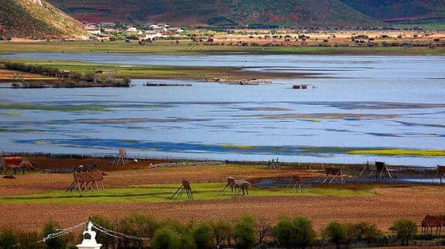 香格里拉简单旅行攻略