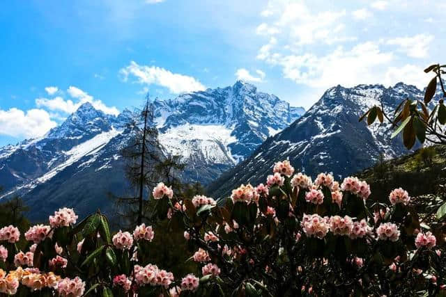 青春毕业季，这个适合毕业旅行的地方赶紧安排起来