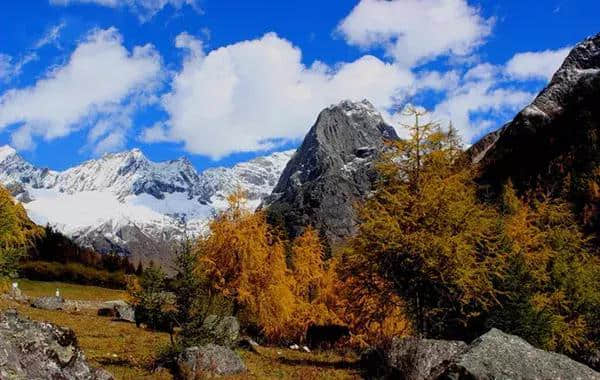 成都周边国庆最强旅游路线：彩林雪山、古镇熊猫，耍个遍只要四天