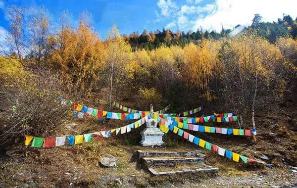 成都周边国庆最强旅游路线：彩林雪山、古镇熊猫，耍个遍只要四天