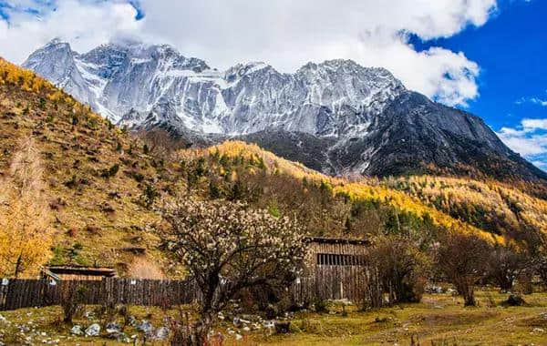 成都周边国庆最强旅游路线：彩林雪山、古镇熊猫，耍个遍只要四天