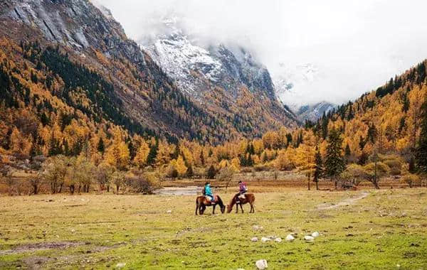 成都周边国庆最强旅游路线：彩林雪山、古镇熊猫，耍个遍只要四天