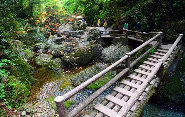 成都周边国庆最强旅游路线：彩林雪山、古镇熊猫，耍个遍只要四天