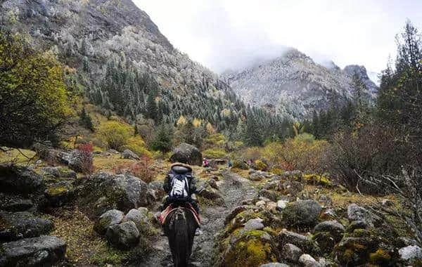 成都周边国庆最强旅游路线：彩林雪山、古镇熊猫，耍个遍只要四天