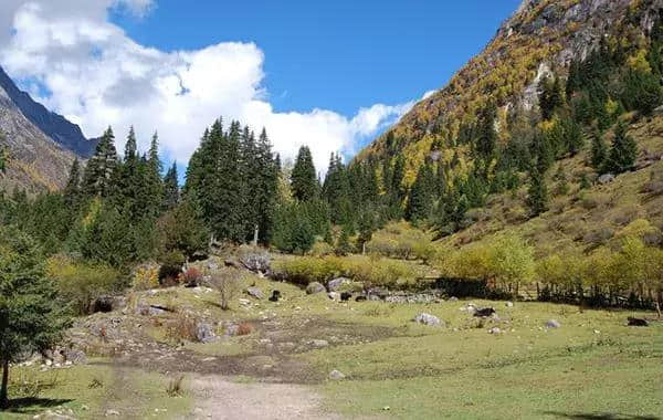 成都周边国庆最强旅游路线：彩林雪山、古镇熊猫，耍个遍只要四天