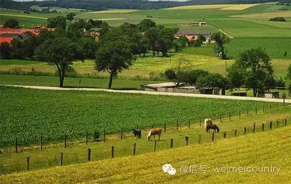 如何做好乡村景区策划和乡村生态旅游景区开发？