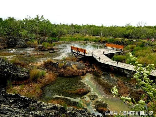 漠河东哥自由行之小兴安岭之旅