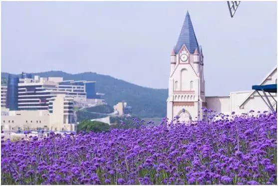 金庸：希望象山成为旅游胜地！