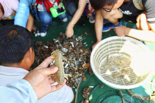 天津塘沽北塘码头出海打渔一日游