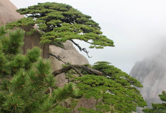 五一旅游十大景点推荐