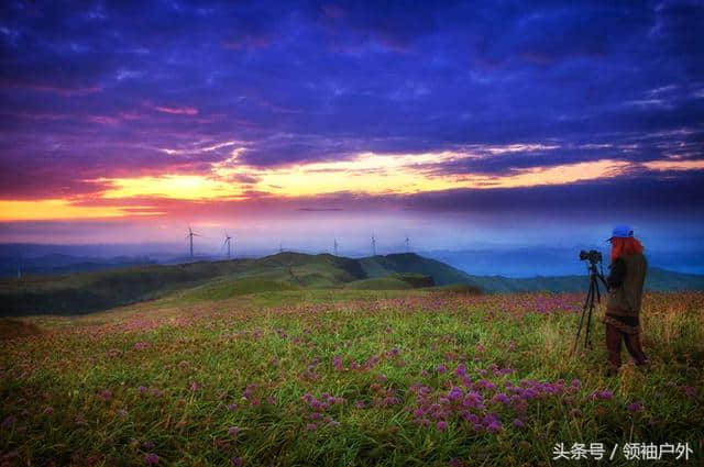 贵州韭菜坪景区几月开花？毕节韭菜坪的最佳旅游时间