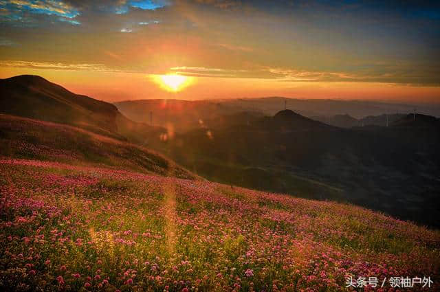 贵州韭菜坪景区几月开花？毕节韭菜坪的最佳旅游时间