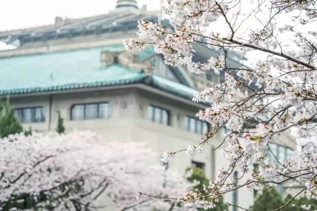 灵秀湖北，十大赏花旅游经典线路发布！