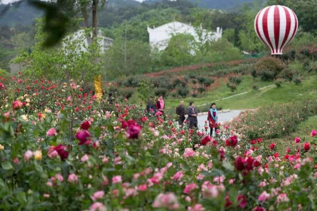 灵秀湖北，十大赏花旅游经典线路发布！