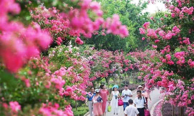 灵秀湖北，十大赏花旅游经典线路发布！