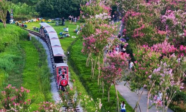 灵秀湖北，十大赏花旅游经典线路发布！