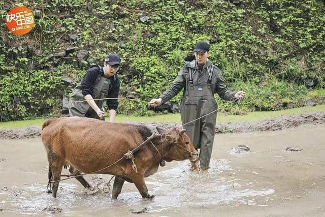 6部旅行类的综艺节目，真实的将旅行拉回到现实层面