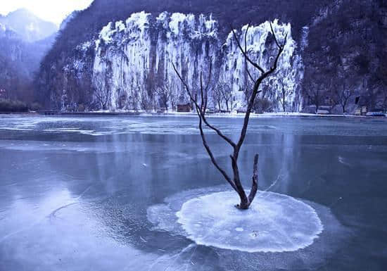 重磅福利！河南春节9大取消门票景区！5A级老君山和云台山景区在内！