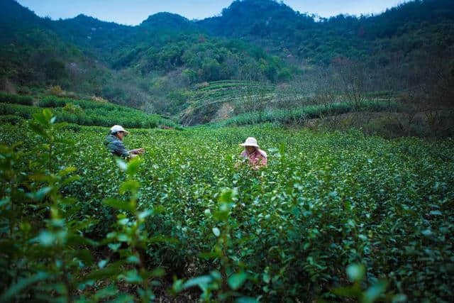 国庆四天三夜｜新昌这条禅修养生之旅，带你度过美好假期