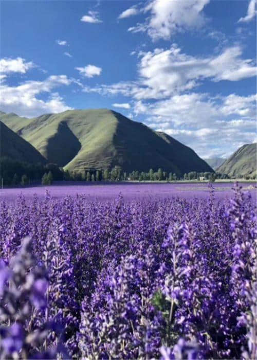 川西｜康定新都桥丹巴小环线如何玩，打卡推荐异域风景点“墨石公园”