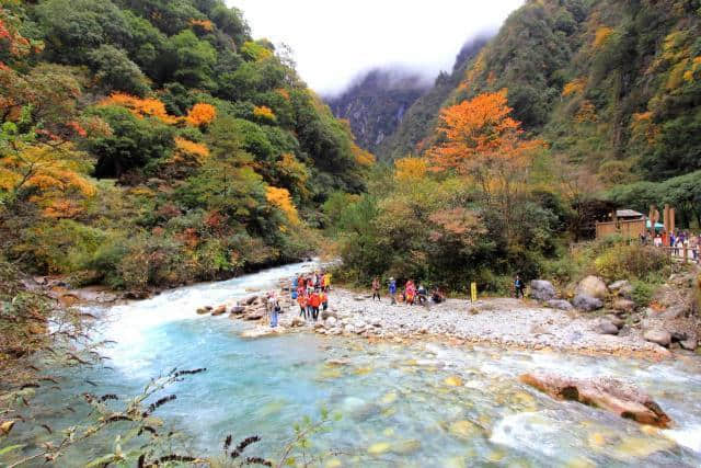 雅安除了野生大熊猫，还有碧峰峡的这6大美景