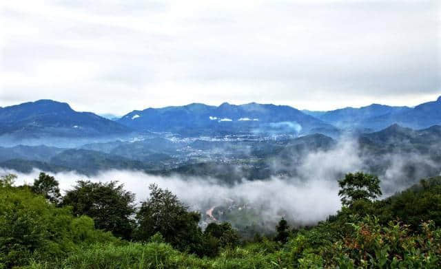 雅安除了野生大熊猫，还有碧峰峡的这6大美景