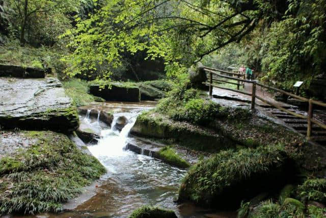 雅安除了野生大熊猫，还有碧峰峡的这6大美景