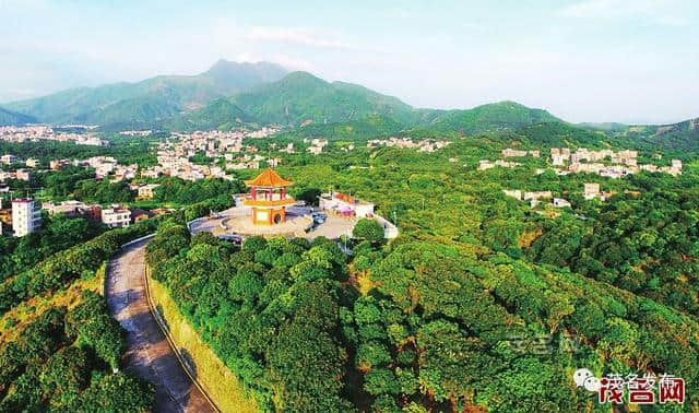 国庆休闲好去处有了！茂名这20条村入围“十大美丽旅游乡村”名单！