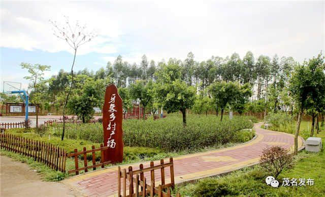 国庆休闲好去处有了！茂名这20条村入围“十大美丽旅游乡村”名单！