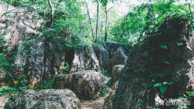 八公山风景区“五一”旅游指南，关于购票、服务……