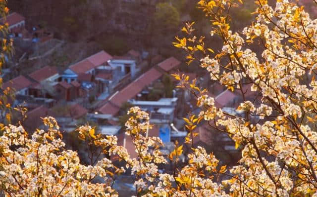 半价！免费！今天旅游日济南青岛等多家景区送福利！