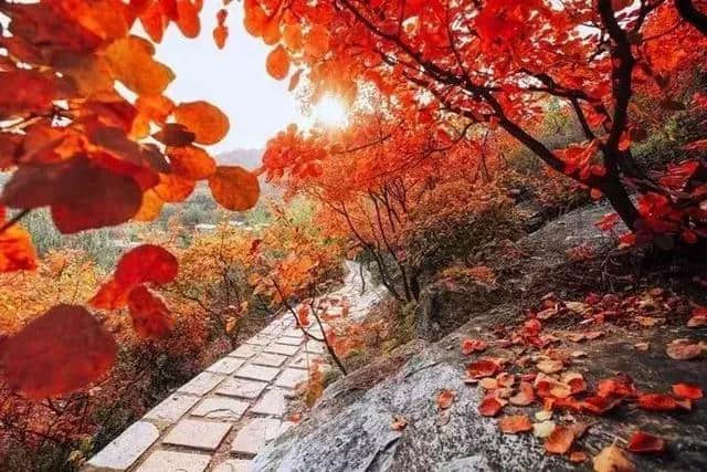 10月北京最佳小众旅行地！绝不能错过的秋色，到底有多美？