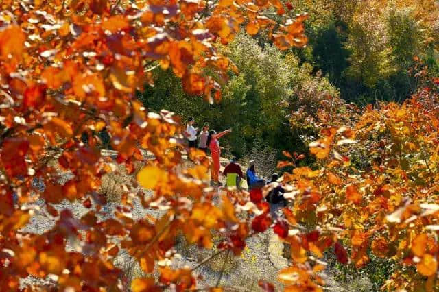 10月北京最佳小众旅行地！绝不能错过的秋色，到底有多美？