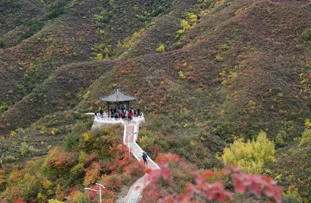 10月北京最佳小众旅行地！绝不能错过的秋色，到底有多美？