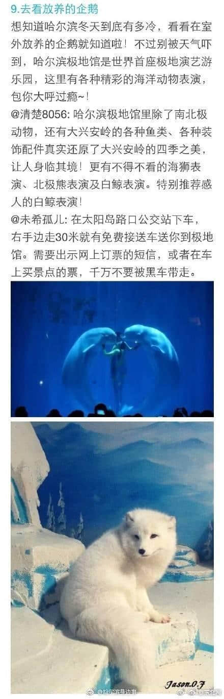 来哈尔滨旅游一定要做的10件事