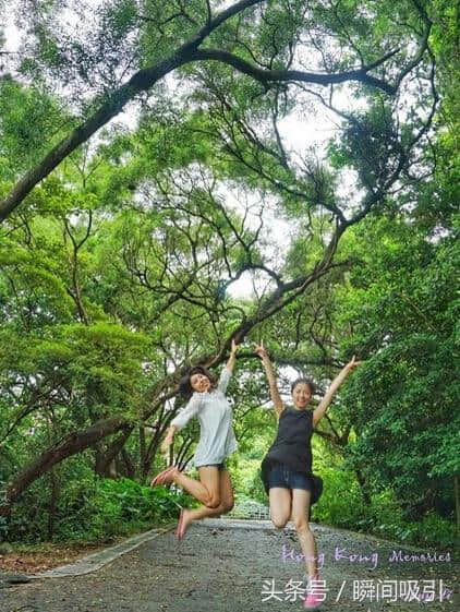 香港四天三晚的自由行 重头戏就是南丫岛