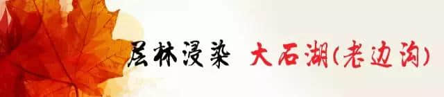 「关注」“枫都”本溪赏枫自驾游最强攻略+路线，收好不谢~