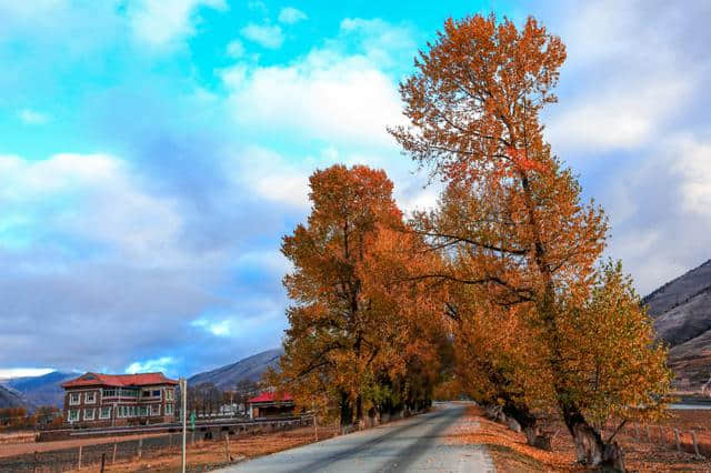 川藏路线旅游 骑马观花之新都桥