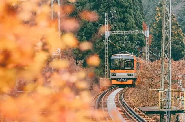 11月错峰旅行白菜价！这些国家绝美好玩，仿佛省了好几个亿~