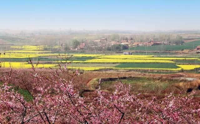 不要门票，无需目的，襄阳适合春游，散心的好地方在这里