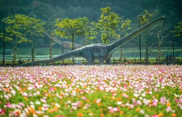 三亚旅游推荐丨莫负踏青好时节，10条三亚休闲生态游路线送上！