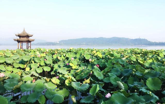 中国榜上有名的最佳旅游地