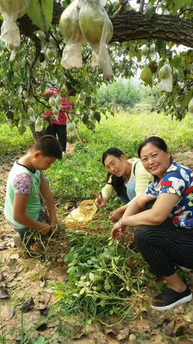 中秋小长假德州旅游活动精彩纷呈！