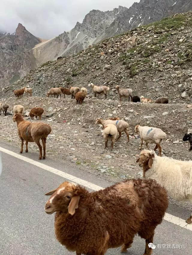 为什么要去新疆旅游？新疆旅游自由行攻略